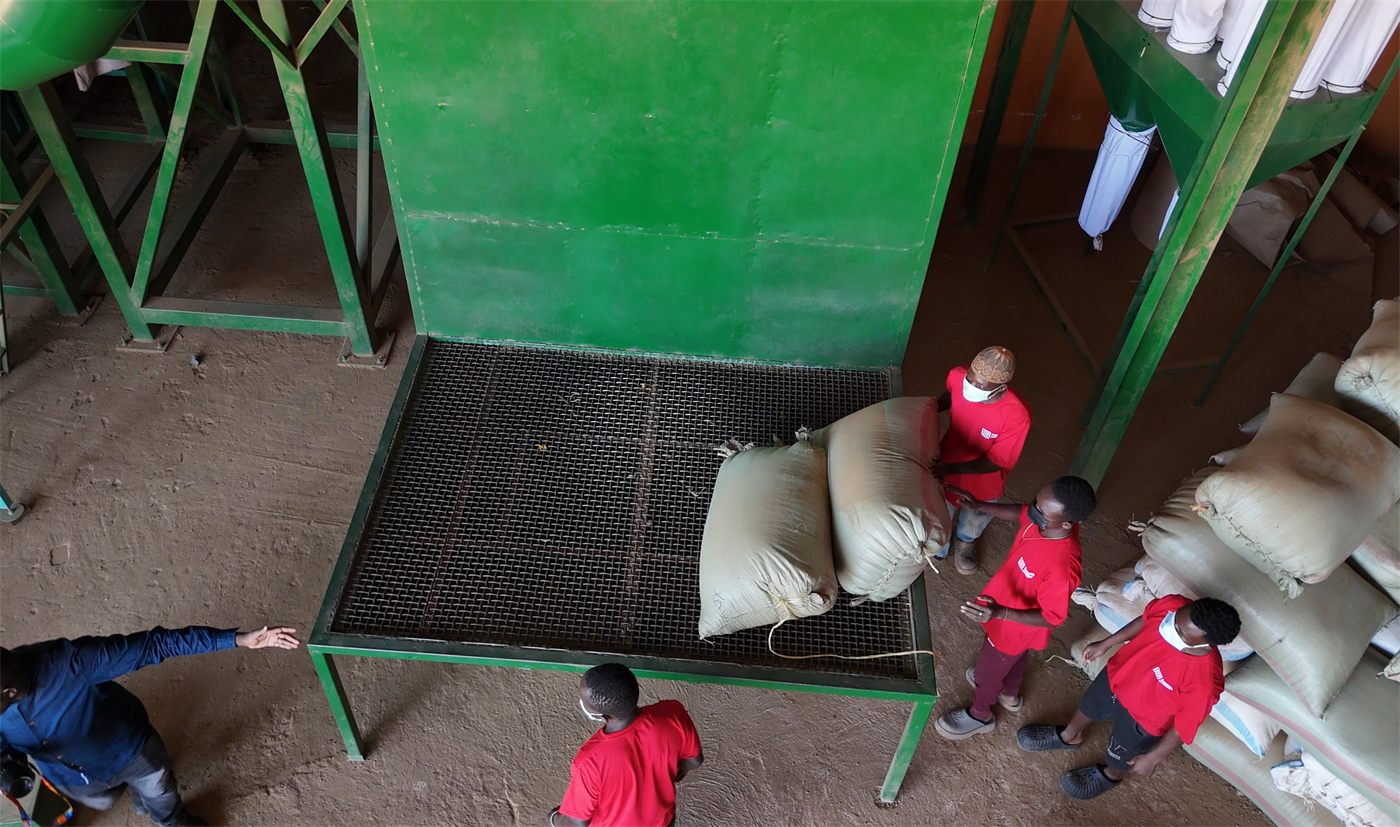Receiving coffee at the Karaz Coffee Factory